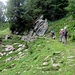 Sentiero per Alp d'Albion