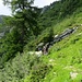 Sentiero verso S.Jorio e Cugn
