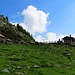 Alp d'Albion