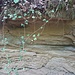 Sandstein in der Prallwand