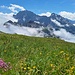 Gipfelwiese vor Windgällen