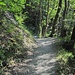 parte típica del sendero que nos lleva al destino