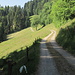 noch ganz am Anfang,. todavía a los principios del recorrido