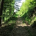 Waldstrasse. calle forestal