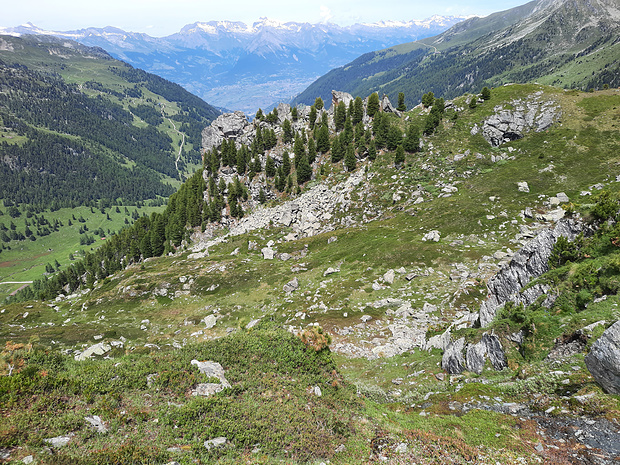 Depuis la corniche, vers 2415m. La descente directe en direction de l'Arpette est particulièrement raide (30-40 mètres) et cela ne se voit pas sur l'image. Possible passage en direction de l'est (à vérifier une autre fois). Demi-tour, donc. 