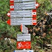 <b>Alle 8:05 inforco la bici e parto sulla stradina, che si sviluppa ancora nel bosco, fino al parcheggio più elevato ad Altumeira (2065 m), P4.</b>