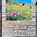 <b>Benvenuti al Rifugio Viola!</b>