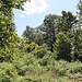 Hofehübel, Gipfel