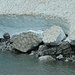 Eissee