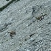 Mutter-Kind-Gruppe