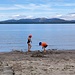 Strand-Spass in Schottland