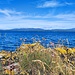 Idylle am Meer