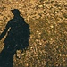 Schatten