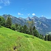 Sicht hinüber zur Schynige Platte