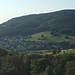 Wisen