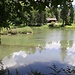 Fischweiher