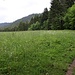 finaler Abstieg