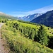 <b>Osservo le piste da sci perfettamente ricoperte dal pascolo; in altri comprensori la striscia della pista è priva d’erba e sommersa dal ghiaietto o dal terriccio.</b>