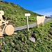 <b>Agriturismo Malga dell'Alpe a 100 passi.</b>