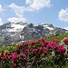 Rosige Aussicht nach Süden.