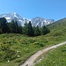 Bergpfad am Rand der Baumgrenze.