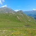 Rechts der Mitte ist der Tête du Tronc.