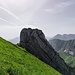 Der Gipfelkopf