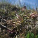 Ich döse ein wenig schläfrig vor mich hin und mache noch einige Fotos.<br />Leider ist es zu warm, um länger abzuliegen  