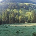 Die Nordwestflanke des Jochgrats. Irgendwo hier will ich hoch