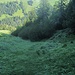 Blick abwärts mit Gamp im Hintergrund