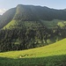Beim Bergaus Mattajoch soll der Abzweiger zum Gampbach hinab beginnen.<br />