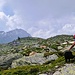 Streicheleinheiten verteilen, zwei die sich mögen