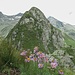Rückblick zum vermeintlichen Kleinen Magstein