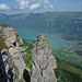 Tiefblick vom ENE-Gipfel nach NW zum von Schmelzwasser trüben Brienzersee, dahinter Brienz, und darüber der Brienzergrat. Ob der 35m hohe Turm inzwischen wohl bestiegen ist?