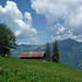 Alpidylle bei Uf der Flue, dahinter Briefehörnli und Brienzer Rothhorn