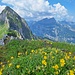 Blumenverkaufsstand am Jelmoli