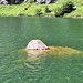 Umschwommene Insel im Talsee