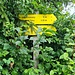 erster Wegweiser, ziemlich zugewachsen