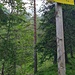 Selber Wegweiser mit Trail am Bachbett