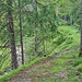 Trail am Bachbett