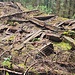 stärkstens verfallenes Gebäude - vermutlich Gernalm