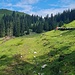 mal angenehmere Wegpassage