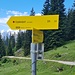 Kreuzung mit Fahrstraße - WW bergab
