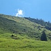 Hauptweg zum Gipfel