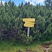 WW Steinplatte via Hochtritt