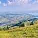 Tiefblick zu Küssnachter- und Zugersee