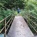 Ponte delle Capre