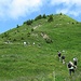 Beginn des Aufstiegs zum Zafernhorn bei der Zaferafurka