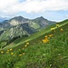 Türtschhorn und Glatthorn vom Südostrücken des Zafernhorns