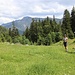 bei der Grabneralm